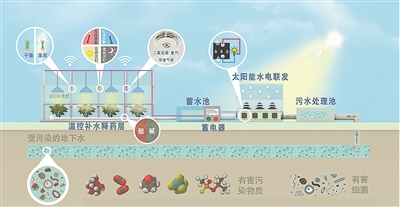 會(huì)發(fā)電、可處理廢水,還能精準(zhǔn)釋放農(nóng)藥 智慧大棚化身降碳多面手