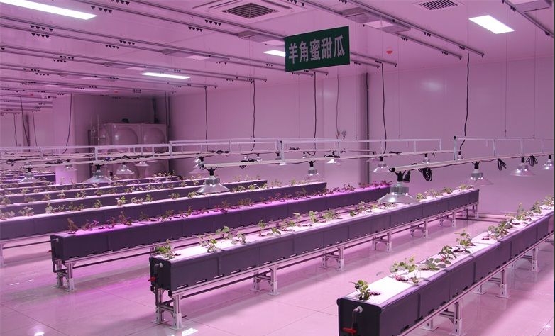 植物工廠(chǎng)